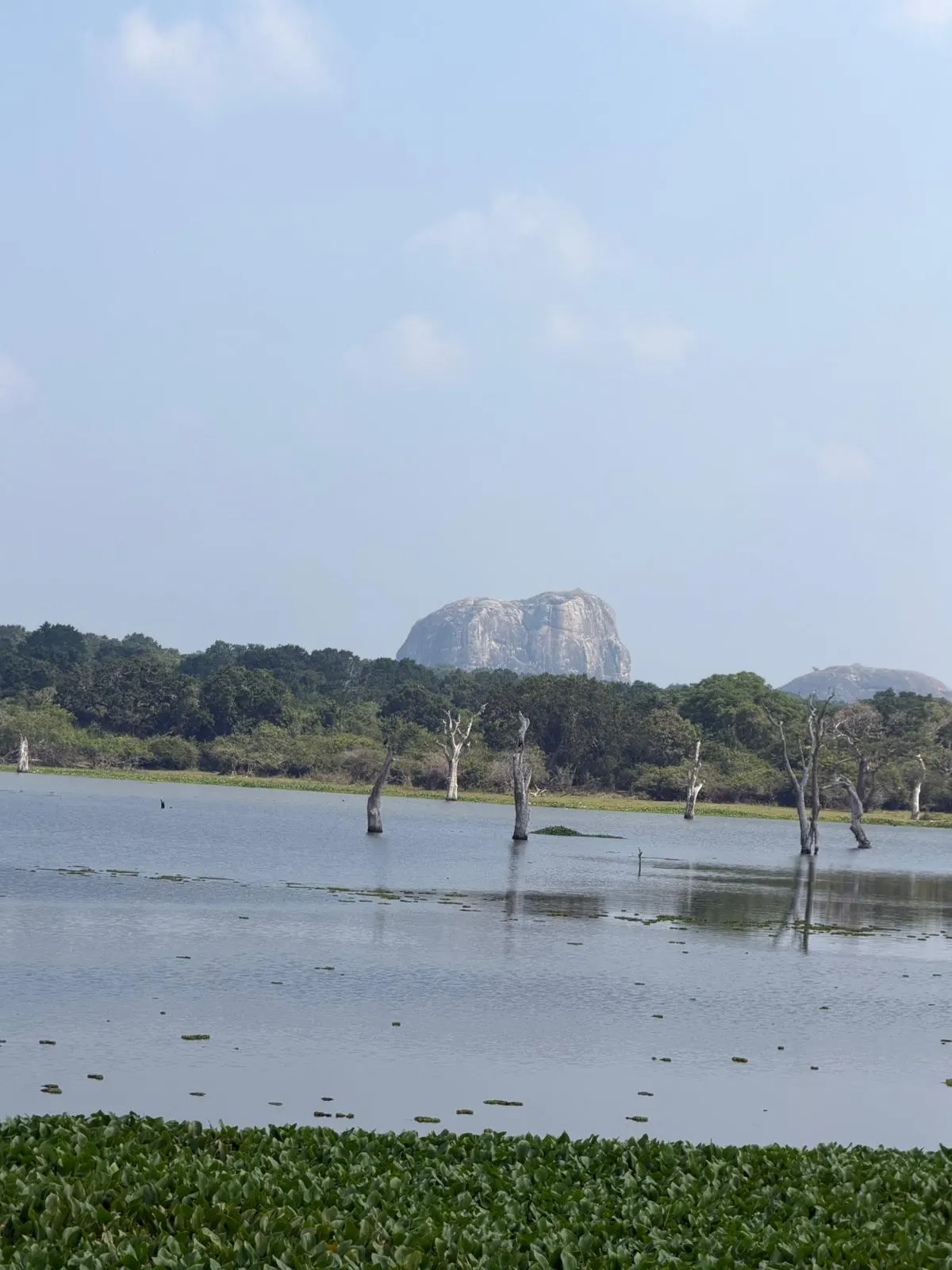 A lake and granite outcrop in Yala National Park